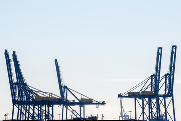Fototapeta premium Seaport cranes, copy space
