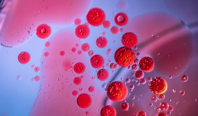 Virus cells or bacterias under microscope. Germs microbe microorganism close-up. macro photography....