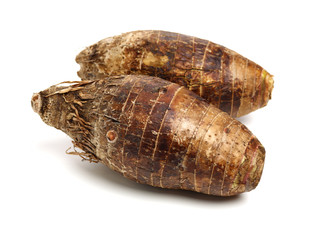 Taro on a white background