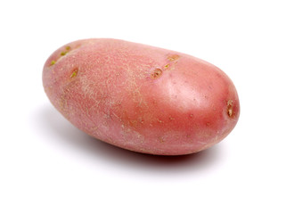 New red potato isolated on white background