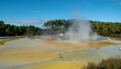 Hot pool at Wai-O-Tapu geothermal park in New Zealand