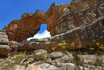 Fototapeta na wymiar The 15 metre high Wolfberg Arch is a well known landmark in the Cederberg Wilderness, Western Cape South Africa.