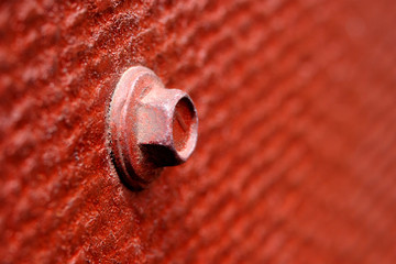 Closeup screw bolt on a wood surface