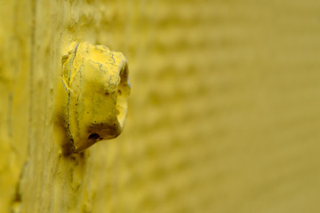Closeup screw bolt on a wood surface