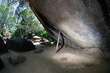 Fototapeta premium A huge stone backed by sticks in Sri Lanka.