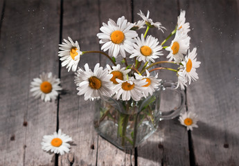 Obraz premium bouquet of daisies on wooden background