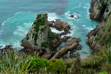 Albatross nesting on rock at Nugget Point New Zealand