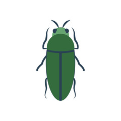 bug insect icon, flat style