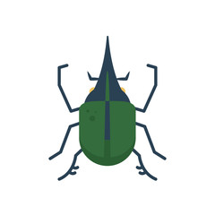 hercules beetle icon, flat style