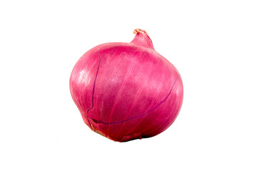 One shallot was placed on a white background.