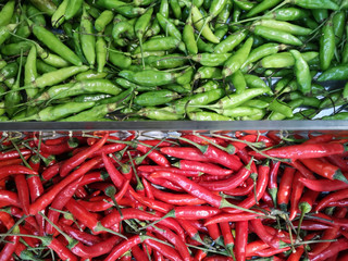 Green and red chili, placed separately. they have many benefits, including antioxidants, vitamins A and C, as well as helping to secrete happiness substances.