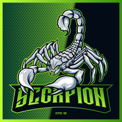 White Scorpion grab text esport and sport mascot logo design in modern illustration concept for team badge, emblem and thirst printing. Scorpion illustration on Green Background. Vector illustration