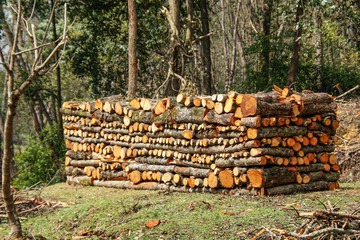 stack of logs