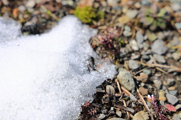 春の雪解け　イメージ