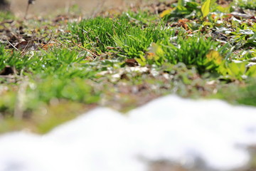 残雪　春の雪解け　イメージ