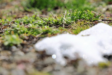 残雪　春の雪解け　イメージ