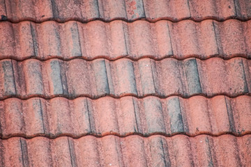 red roof tiles