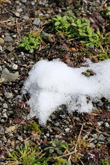 残雪　春の雪解け　イメージ