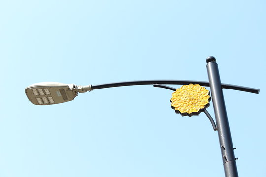 Special Flower in the Sky