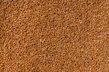 Buckwheat. Texture. Croup. Grains. Fried seeds. Textured background for wallpaper.