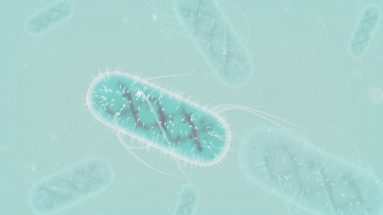 Coronavirus 2019-ncov and virus cells background. covid-19 corona virus, E.Coli Bacteria