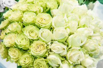 Romantic bouquet of beautiful delicate yellow and white roses. Close-up