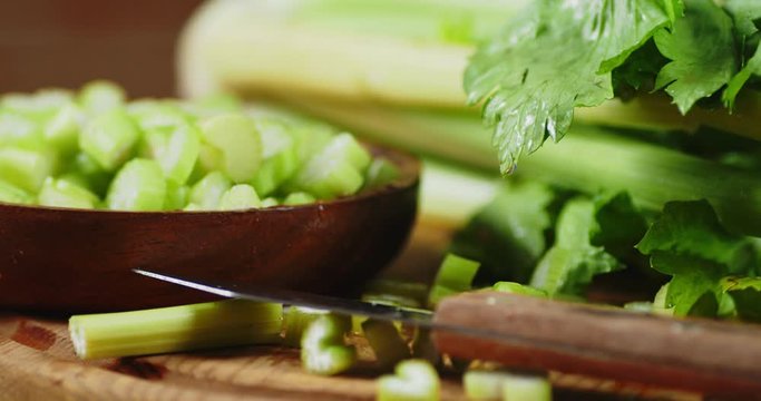 The leaves of fresh celery with water drops.