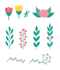 set of cute flowers and branches with leafs vector illustration design