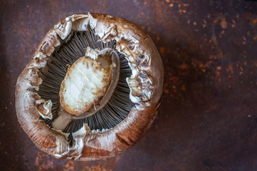 Portobello mushrooms lie hymenophore up on a beautiful background. The best alternative for a meat Burger. Close up. Selective focus. Copy space