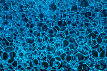 Virus cells or bacterias under microscope. Germs microbe microorganism close-up. macro photography....