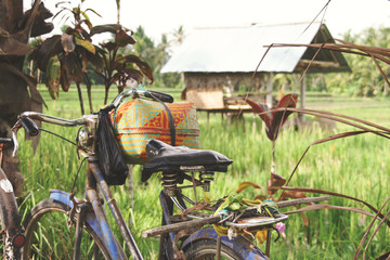 Ubud Bali rice terrace