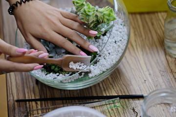 hands of the master of Floristics transplant succulents and decor in the florarium