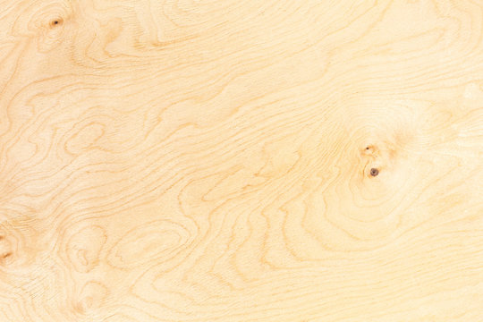 birch plywood pattern. high-detailed wood texture series