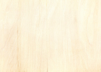 texture of birch plywood plank. natural wooden pattern background