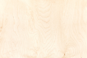 texture of plywood board. highly-detailed hardwood natural pattern background.