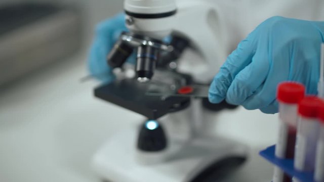 Scientist microbiologist examines a blood test in a microscope, a test for coronavirus, a laboratory analyzes of the covid-19 virus.