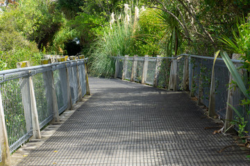 bridge in the park
