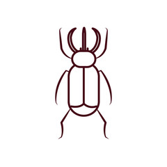beetle insect icon over white background, line style