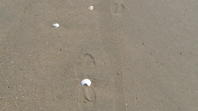 Huge footprints on the sand of the Pacific Ocean