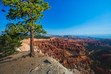 Southwest usa Bryce Canyon National Park (a rocky town of red-rose towers and needles in a closed...