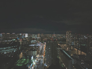 Beautiful Aerial Night View of Tokyo