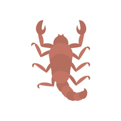 scorpion insect icon, flat style