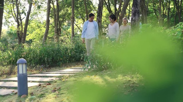 Three Generational Asian Family Taking A Walking In Park