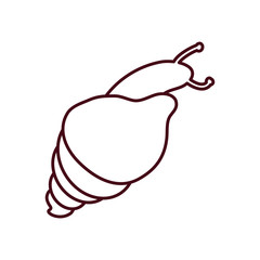 snail insect icon, line style