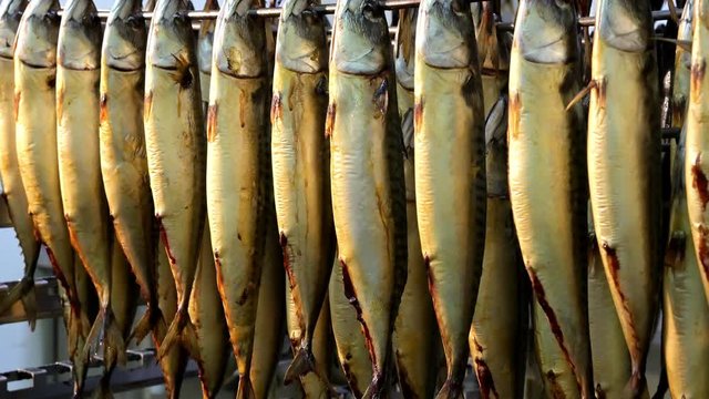 fish hang smoked factory rack row prepared