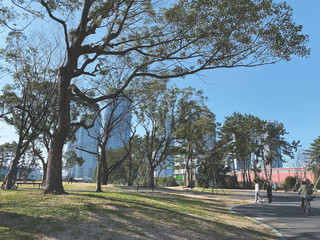 Peaceful Park of Tokyo Bay side area, Shinonome