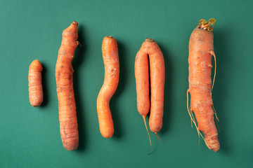 Ugly misshapen carrots on green background. Concept of zero waste production. Top view. Copy space....