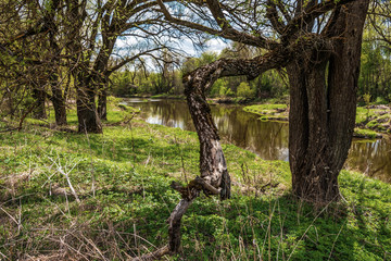 Tranquility scene with quit forest river under cloudy sky at early springtime