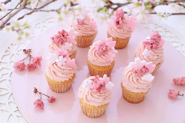 桜カップケーキ　お花見スイーツ　