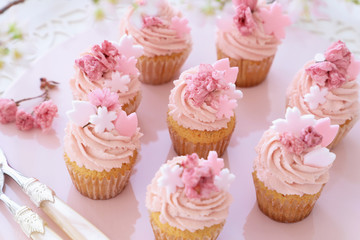 桜カップケーキ　お花見スイーツ　
